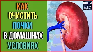 Самые лучшие напитки для очищения почек от песка и камней в домашних условиях