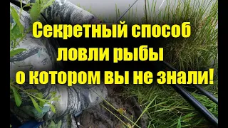 Секретный способ ловли рыбы о котором вы не знали!