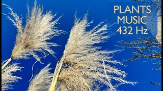 Music for Plants 432 Hz Frequency for Houseplants Growing, Healing & Happiness