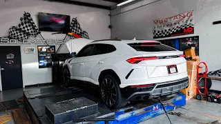 I TUNED MY LAMBORGHINI URUS | Downpipe + Stage 2 Tune