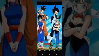 Goku & chi chi vs Vegeta & bulma fight