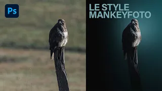 Reproduire le style Mankeyfoto avec Photoshop