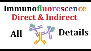 Immunofluorescence (Direct and Indirect)