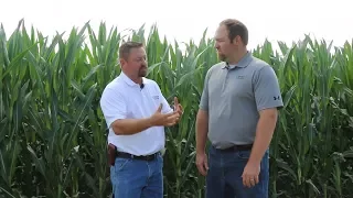 Increase Planter Productivity be 50% — Agronomy — Precision Planting