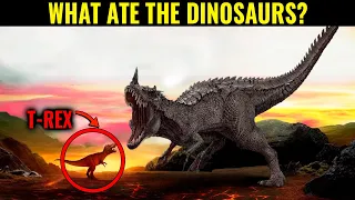 Terrifying New Creature Discovered & More | Compilation