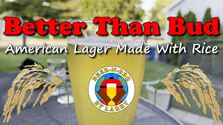 Home Brewed American Lager with Rice Adjunct: Tasting, Recipe, and Yeast Comparison