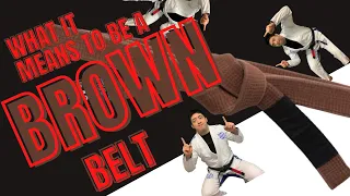 WHAT IT MEANS TO BE A BROWN BELT [BJJ]