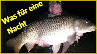 Karpfenangeln mit Pose, Schwimmbrot, Mais und Boilies #karpfen