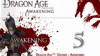 Прохождение Dragon Age: Origins - Awakening. Часть 5. Ведьма из Вендинга.