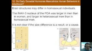 Chapter 12 Part D: Sex: Evolutionary, Hormonal, and Neural Bases