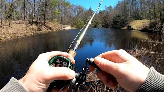 Windy Spring Bass Fishing at a Big Shallow Weedy Pond