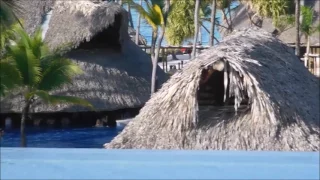 Barcelo Bavaro Palace - Complete Walk Through