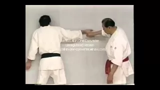 Wally Jay   Small Circle Jujitsu   Finger Locking Techniques