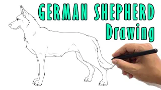 How to Draw a German Shepherd Drawing Step By Step | Easy German Shepherd Dog Sketch Tutorial