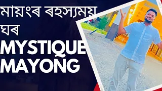 Mystique Mayong || First 3 Star Hotel of Mayong|| Morigaon First 3 Star Hotel || Pobitora || Vlogs