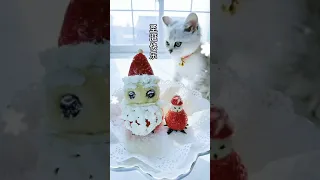 Cute/Funny Animals of Tik Tok that Will Brighten Up Your Day