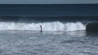 Surfing the best left in Perth