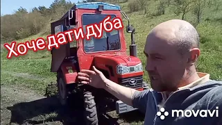 😱ПОЛОМКА ШИФЕНГ 244///ХОЧЕ ВРІЗАТИ ДУБА‼️ЗАМІНА ПІДШИПНИКА КОЛІНВАЛУ❗️‼️