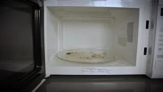 Clean your microwave with just a bowl of vinegar