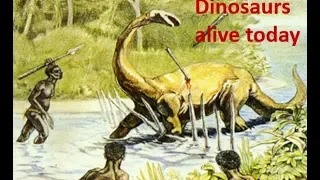 Creation Science Seminar Part 3b living dinosaurs