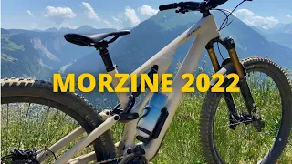 Specialized Stumpjumper EVO vs. Morzine Downhill MTB