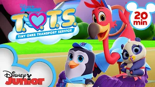 Best of Season 3  💖| 20 Minute Compilation | T.O.T.S. | @disneyjunior