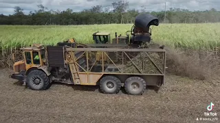 Sugarcane harvesting Mackay QLD