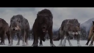 Волки мы в ночных Лесах - Руслан Добрый, Tural Everest (VIDEO)  #Anaconda_Records