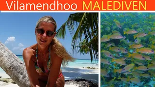 VILAMENDHOO - 4K - Dive and Relax / Highlight der Malediven