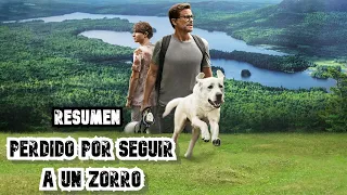 PERRO PERDIDO | RESUMEN