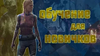 [DBD] Обучение выживанию для новичков