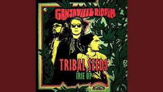 Irie up (Ganjaville Riddim)