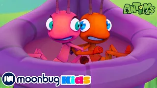 🍆 Plantados! 🍆 | 1 HORA DE ANTIKS BRASIL! | Moonbug Kids em Português | Desenhos Animados Infantis