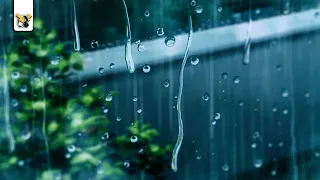 What does Lofi have to do with rain? 🌬🌧 [lofi hip hop / relaxing beats]