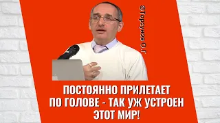 Постоянно прилетает по голове - так уж устроен этот Мир! Торсунов лекции