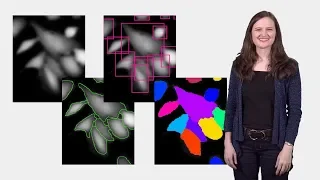 Bioimage Analysis 3: Segmentation (Anne Carpenter)