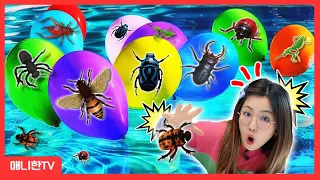 풍선 터트리기 놀이 곤충 장난감! 벌레가 많아요 Surprise Insect Toys with Balloon Play for Kids  [애니한TV]