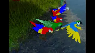 [ A Chaotic Migration ] (Sorry for low quality and loud music)