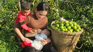 Single mother: Going to pick apples to sell, life had an incident, hard work with her two children.