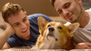 Weird Things Couples Do With Their Dogs