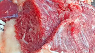 Most Delicious Yummy Meat Processing Skills | Beef Cutting Skills Amazing Beef Market/ Muslim Bazar.