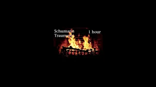 [1 Hour Classical Music] Schumann Traumerei with fire place ♫ Soothing Sleep Music