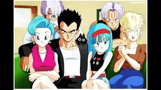 ~ Dragon Ball ~ Vegeta's Family ~