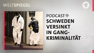 Schweden versinkt in Gang-Kriminalität | Weltspiegel Podcast