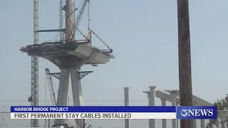 The Harbor Bridge Project see progress with first permanent stay cables