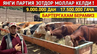 ЯНГИ ПАРТИЯ ЗОТДОР МОЛЛАРИ КЕЛДИ У́ЛМАСБЕК ОГАНИ ФЕРМАСИ БАРТЕРГАХАМ БЕРАМИЗ !!! ХОРАЗМ БОЗОР