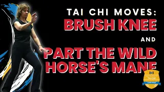 Tai Chi Moves: Brush Knee and Part the Wild Horse's Mane