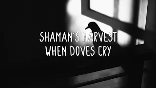 Prince (Cover by Shaman's Harvest) - When Doves Cry (Lyrics)