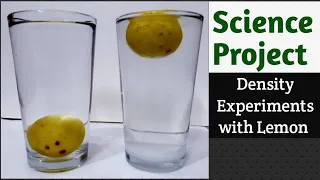 water Density Experiments with lemon/Science school project for exhibition/kansal Creation