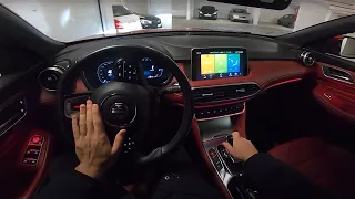 2021 MG EHS [1.5 TGI PHEV, 258 HP] POV driving at night [COOL AMBIENT LIGHT]